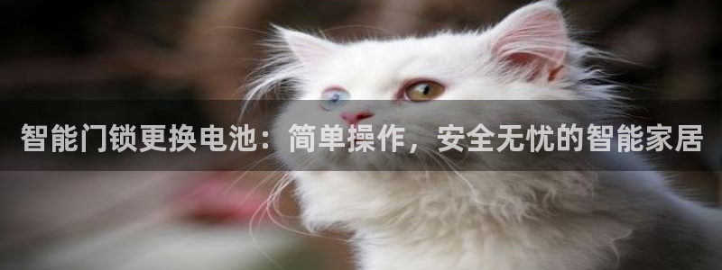 富联娱乐万67五壹叁八：智能门锁更换电池：简单操作，安全无忧
