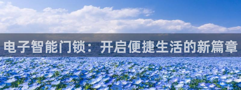 富联娱乐客户端官网下载：电子智能门锁：开启便捷生活的新篇章