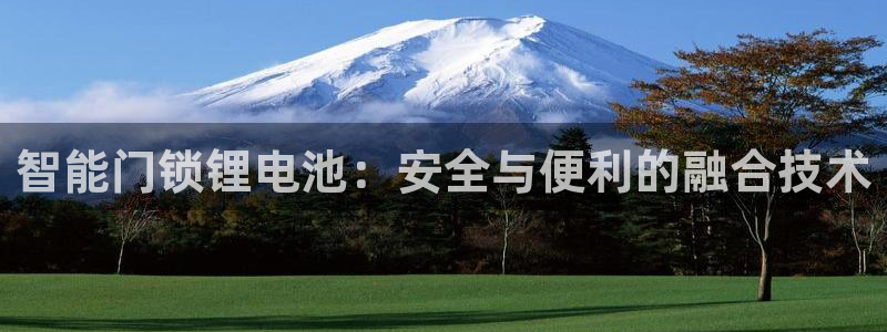 富联娱乐招商鱼判官333OO：智能门锁锂电池：安全与便利的融