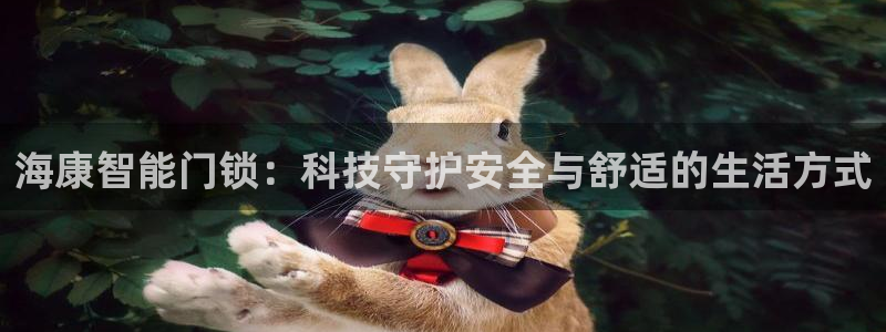 富联娱乐戚少风：海康智能门锁：科技守护安全与舒适的生活方式