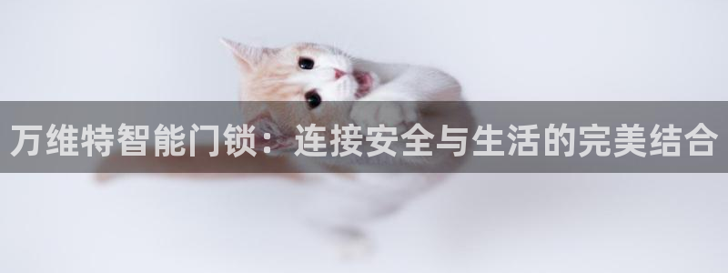 富联娱乐总裁简介图片大全：万维特智能门锁：连接安全与生活的完