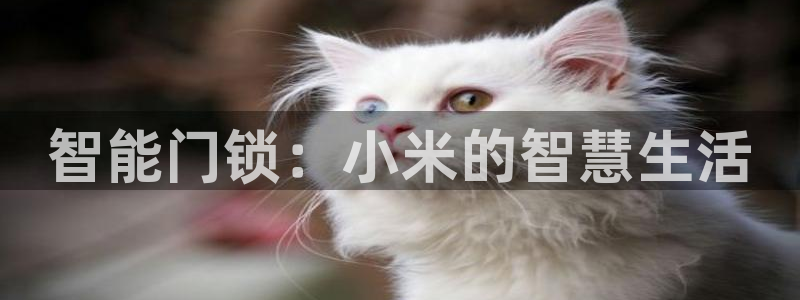 富联娱乐分红怎么样啊：智能门锁：小米的智慧生活