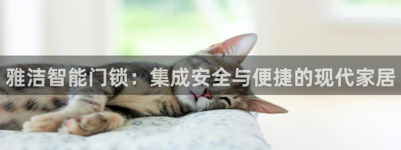 富联娱乐更究7276O：雅洁智能门锁：集成安全与便捷的现代家
