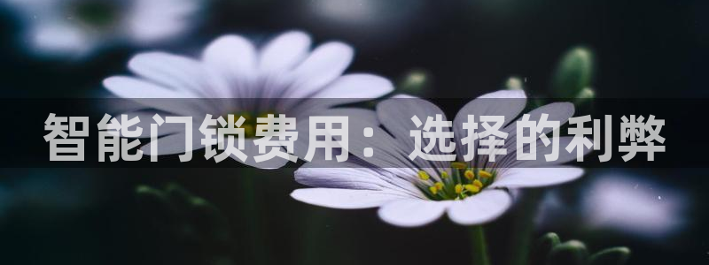 富联娱乐找37997筘：智能门锁费用：选择的利弊