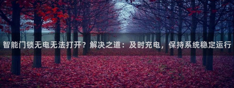 佰富联娱乐团购是真的吗：智能门锁无电无法打开？解决之道：及时