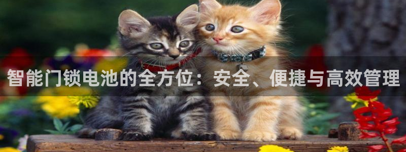 富联娱乐平台靠谱吗：智能门锁电池的全方位：安全、便捷与高效管
