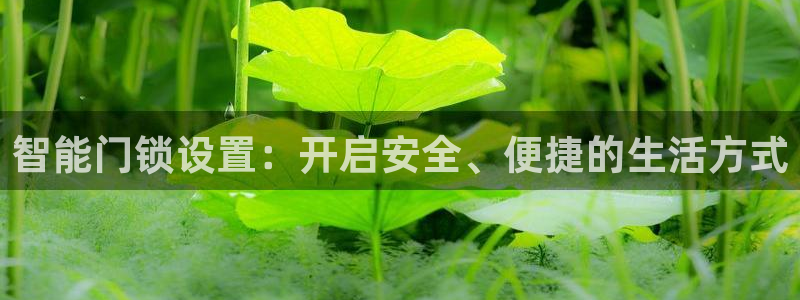 富联2娱乐招熵：智能门锁设置：开启安全、便捷的生活方式