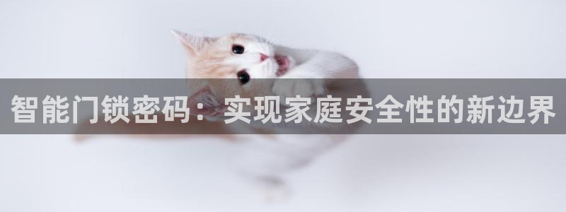 富联娱乐平台登录不了账号：智能门锁密码：实现家庭安全性的新边