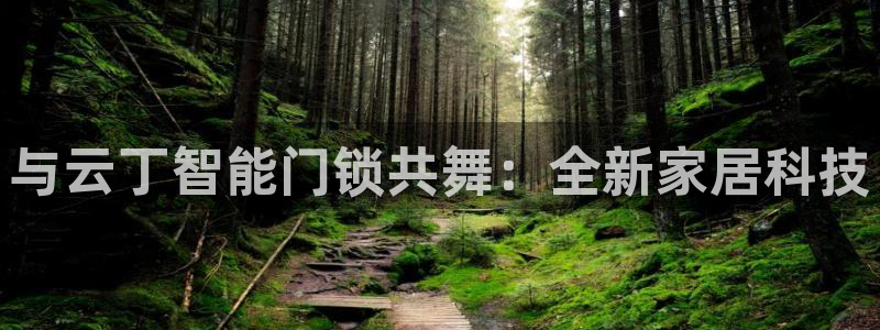 富联娱乐女团是谁的粉丝：与云丁智能门锁共舞：全新家居科技
