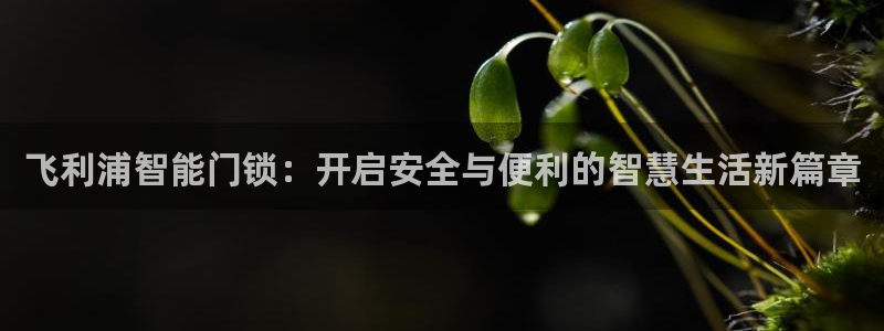 富联娱乐开户费用多少钱：飞利浦智能门锁：开启安全与便利的智慧