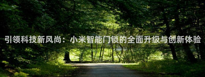 佰富联娱乐团购怎么样：引领科技新风尚：小米智能门锁的全面升级