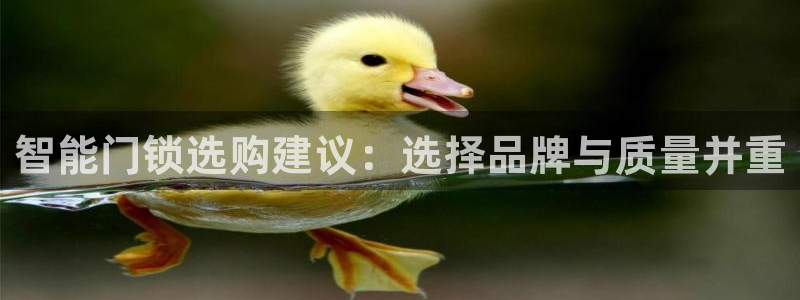 富联娱乐平台靠谱吗：智能门锁选购建议：选择品牌与质量并重