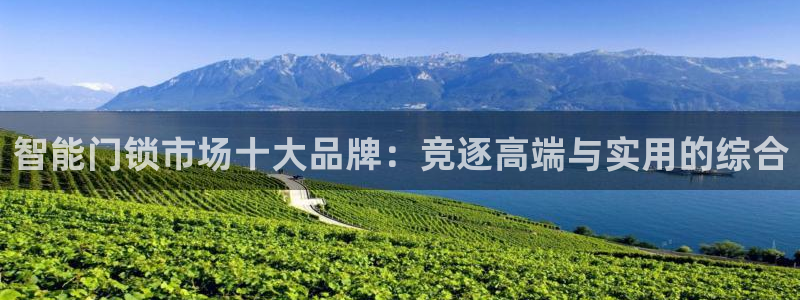 富联娱乐登陆：智能门锁市场十大品牌：竞逐高端与实用的综合