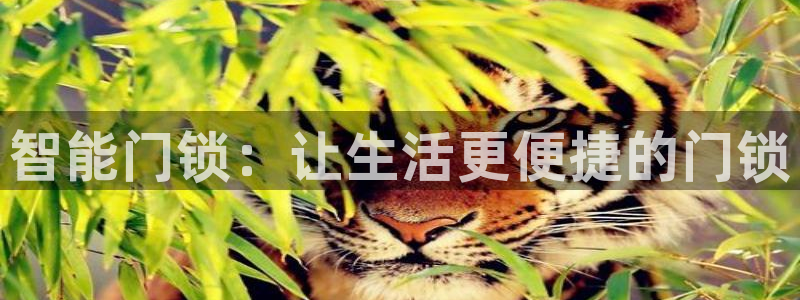 富联娱乐技术研发实力：智能门锁：让生活更便捷的门锁