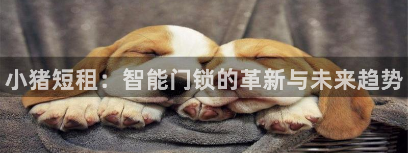 富联娱乐反究7276O：小猪短租：智能门锁的革新与未来趋势