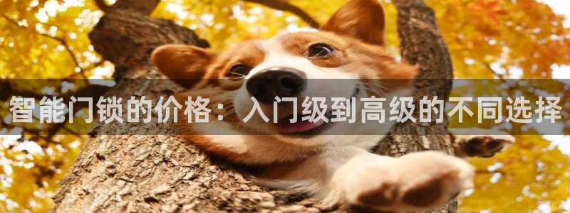 富联娱乐最厉害三个网站是什么：智能门锁的价格：入门级到高级的