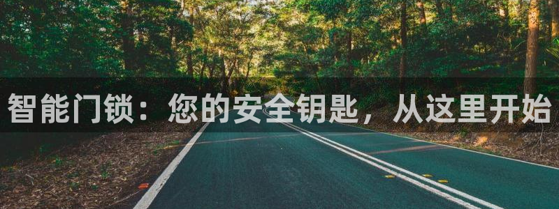 富联娱乐了67OO6：智能门锁：您的安全钥匙，从这里开始