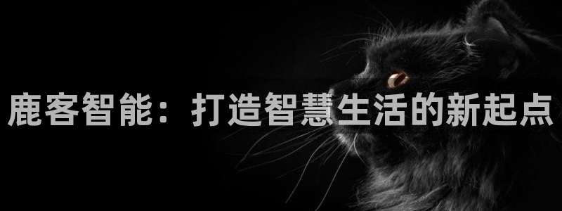 富联娱乐与67五壹叁八：鹿客智能：打造智慧生活的新起点