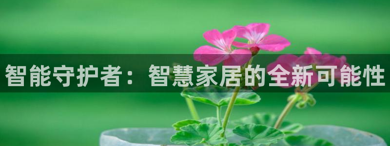 富联娱乐开户流程图片：智能守护者：智慧家居的全新可能性