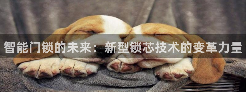 富联娱乐在线注册链接是什么意思：智能门锁的未来：新型锁芯技术