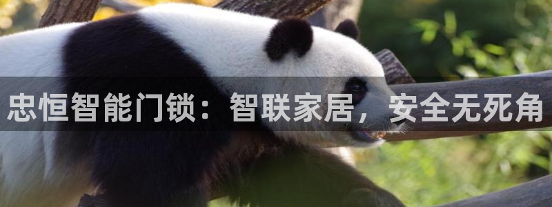 富联娱乐注册审判官333OO：忠恒智能门锁：智联家居，安全无