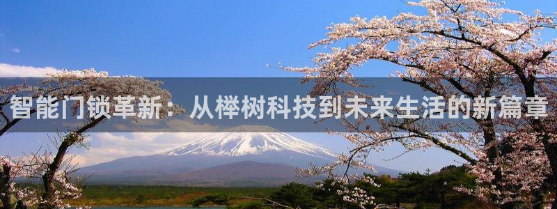 富联娱乐67零零六：智能门锁革新：从榉树科技到未来生活的新篇