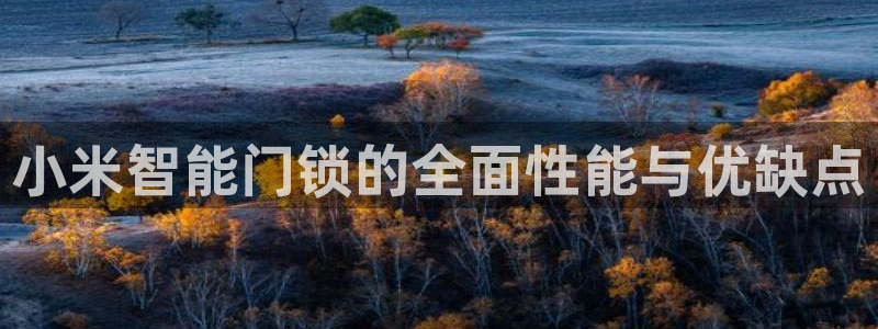 富联娱乐注册地址上海市：小米智能门锁的全面性能与优缺点