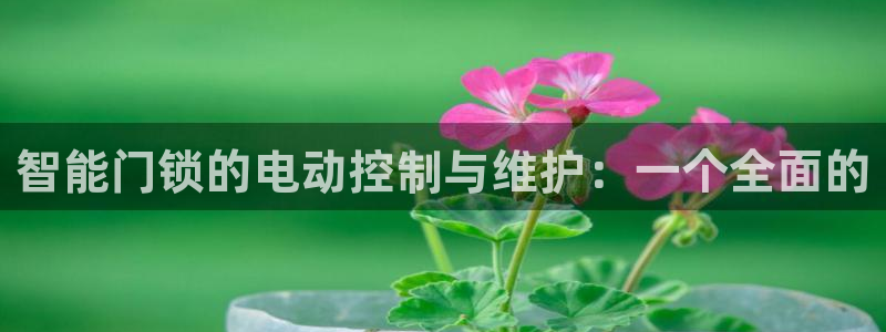 富联2娱乐首页官网网址：智能门锁的电动控制与维护：一个全面的