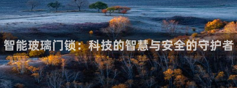 天富娱乐联772332：智能玻璃门锁：科技的智慧与安全的守护