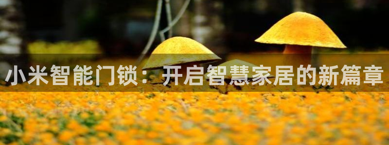 富联娱乐服务站地址：小米智能门锁：开启智慧家居的新篇章