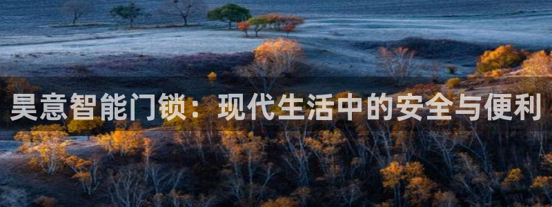 富联娱乐首页网址是什么：昊意智能门锁：现代生活中的安全与便利