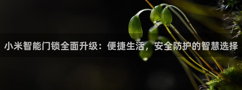 富联娱乐贴吧网站：小米智能门锁全面升级：便捷生活，安全防护的