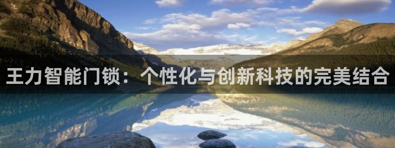 富联娱乐官网入口app：王力智能门锁：个性化与创新科技的完美